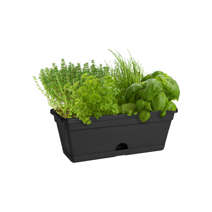 green basics balkonbak mini 30cm living black
